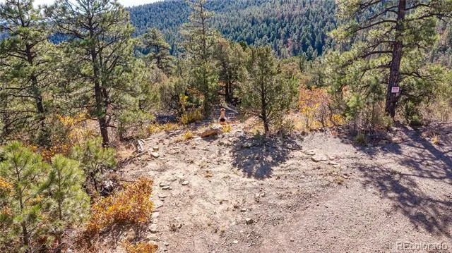 14341 North Ridge Weston, CO 81091