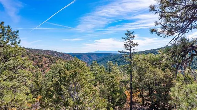 14341 North Ridge Weston, CO 81091