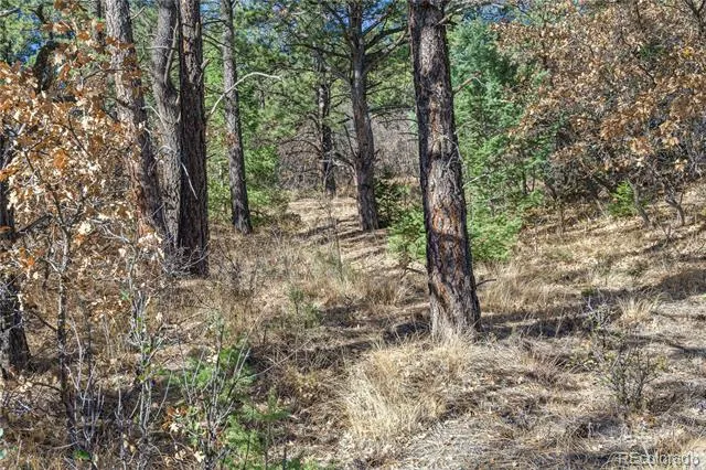14341 North Ridge Weston, CO 81091