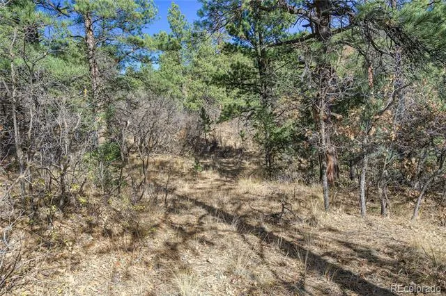 14341 North Ridge Weston, CO 81091