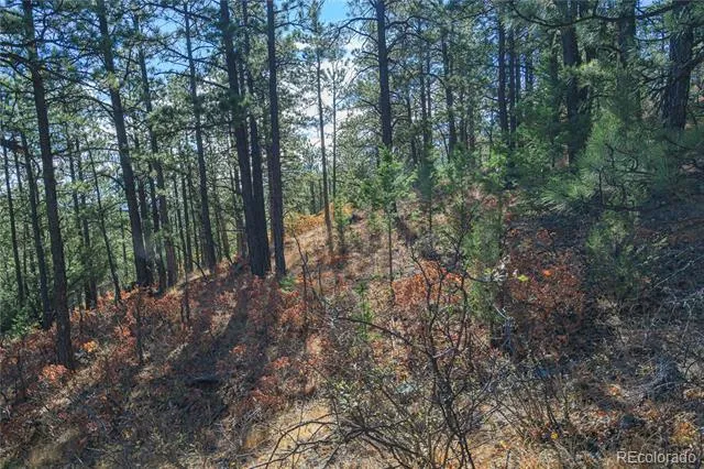 14341 North Ridge Weston, CO 81091