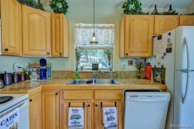 30433 National Forest Drive Buena Vista, CO 81211