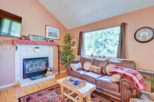 30433 National Forest Drive Buena Vista, CO 81211