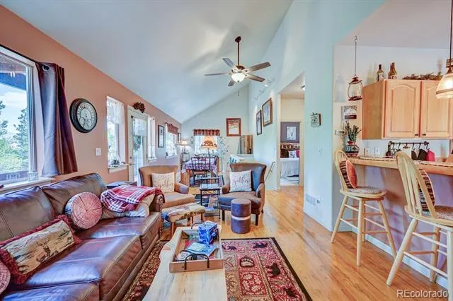 30433 National Forest Drive Buena Vista, CO 81211