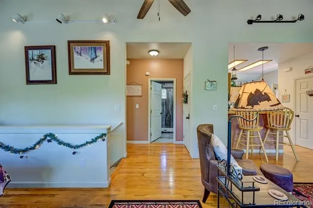 30433 National Forest Drive Buena Vista, CO 81211