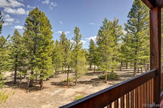 30433 National Forest Drive Buena Vista, CO 81211