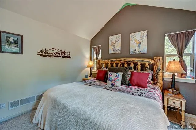 30433 National Forest Drive Buena Vista, CO 81211