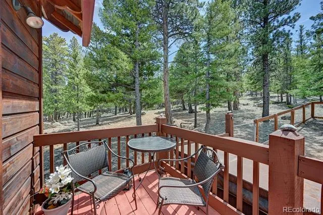 30433 National Forest Drive Buena Vista, CO 81211