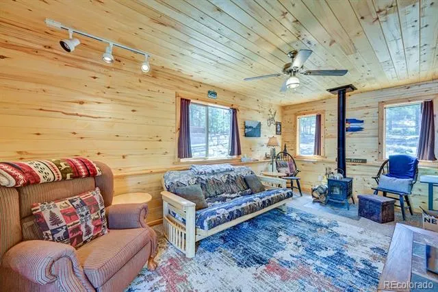 30433 National Forest Drive Buena Vista, CO 81211