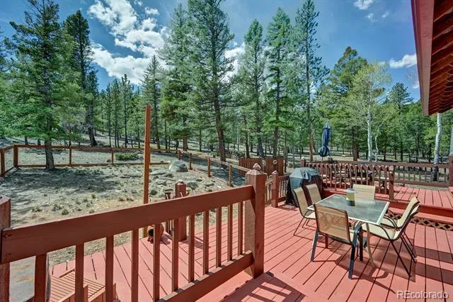 30433 National Forest Drive Buena Vista, CO 81211