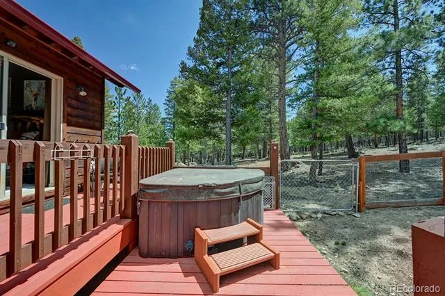 30433 National Forest Drive Buena Vista, CO 81211