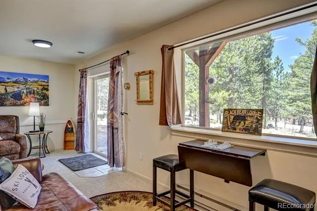30433 National Forest Drive Buena Vista, CO 81211