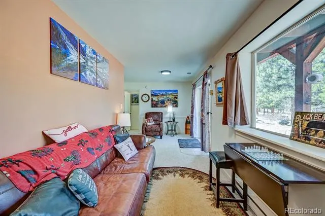 30433 National Forest Drive Buena Vista, CO 81211