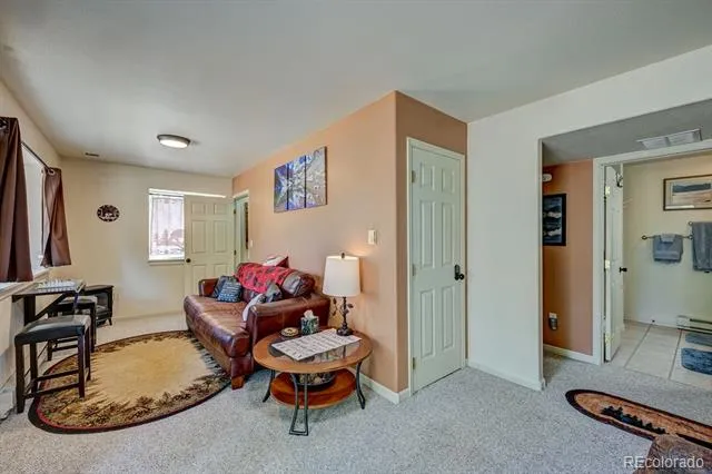 30433 National Forest Drive Buena Vista, CO 81211