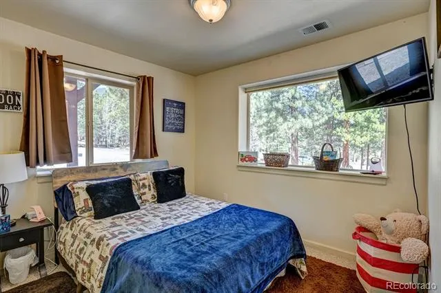30433 National Forest Drive Buena Vista, CO 81211