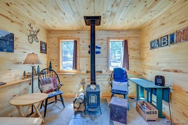 30433 National Forest Drive Buena Vista, CO 81211