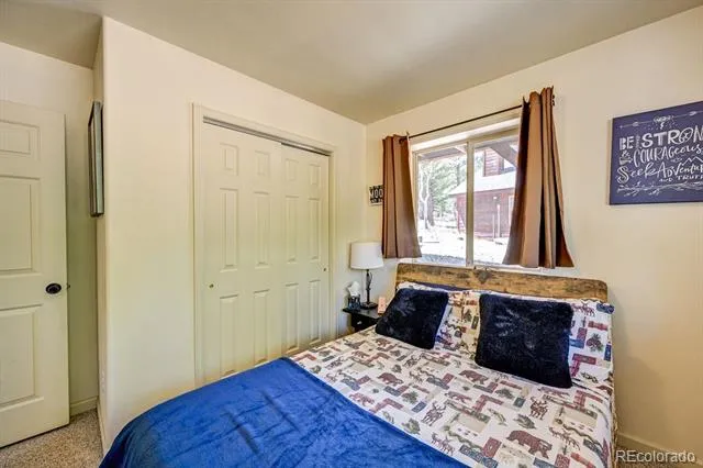 30433 National Forest Drive Buena Vista, CO 81211
