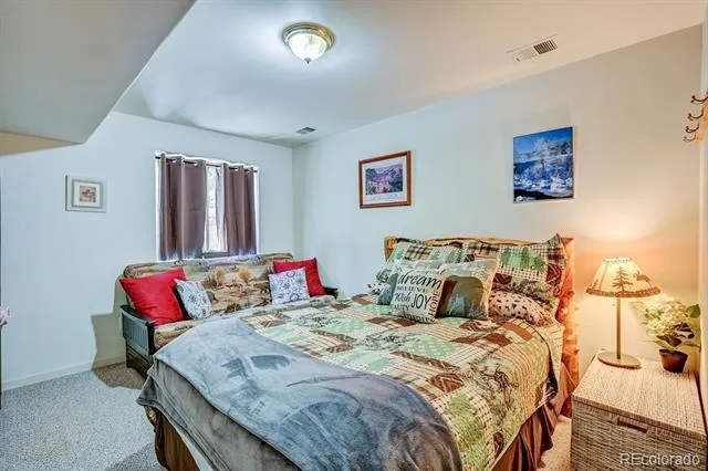 30433 National Forest Drive Buena Vista, CO 81211