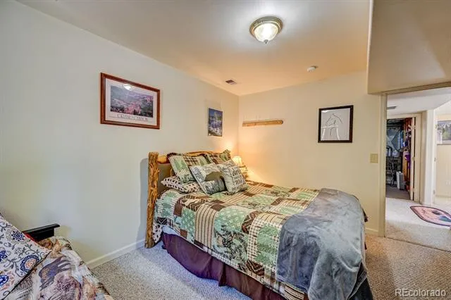 30433 National Forest Drive Buena Vista, CO 81211