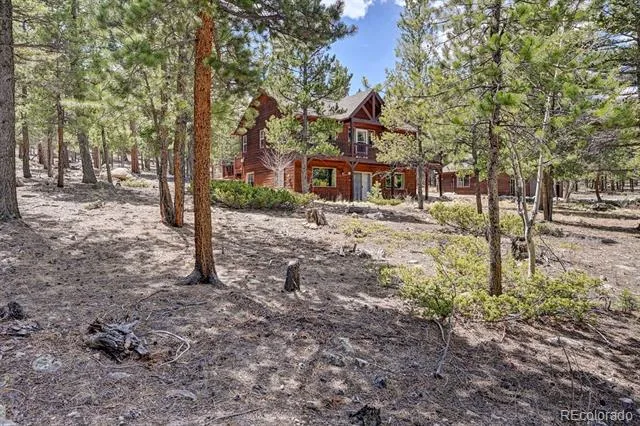 30433 National Forest Drive Buena Vista, CO 81211