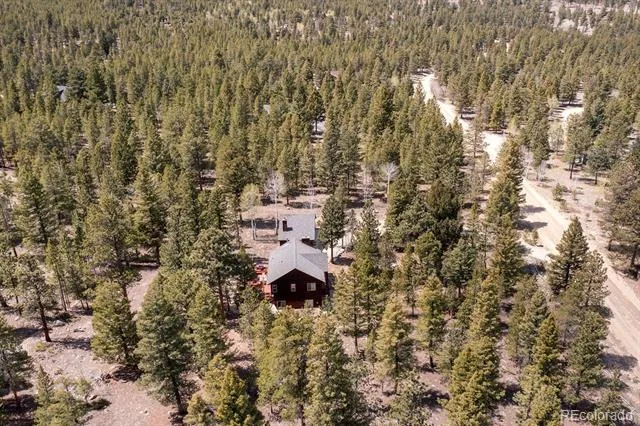 30433 National Forest Drive Buena Vista, CO 81211