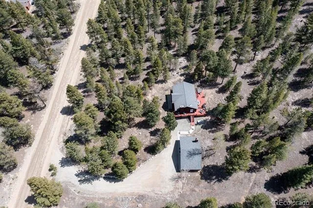 30433 National Forest Drive Buena Vista, CO 81211