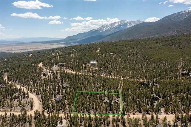30433 National Forest Drive Buena Vista, CO 81211