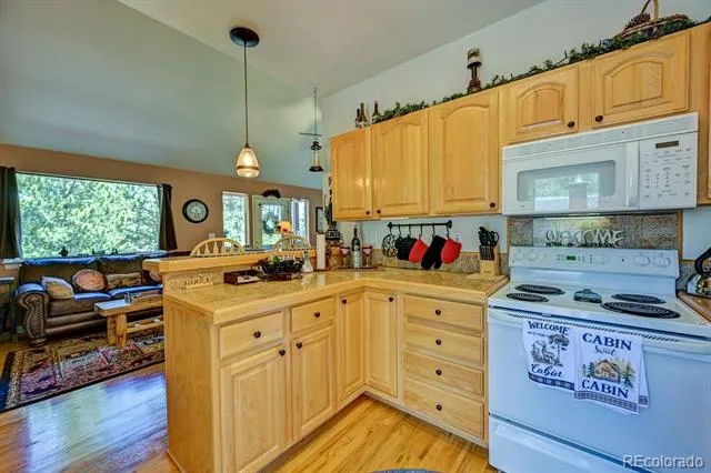 30433 National Forest Drive Buena Vista, CO 81211