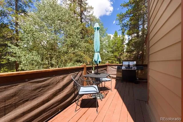 1820 Prospector Drive Leadville, CO 80461