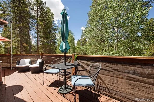 1820 Prospector Drive Leadville, CO 80461
