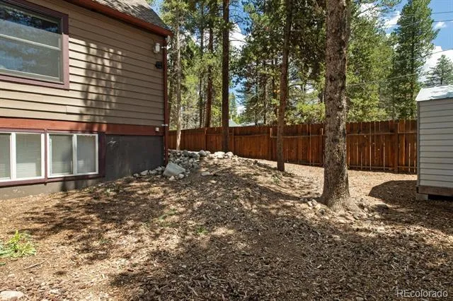 1820 Prospector Drive Leadville, CO 80461