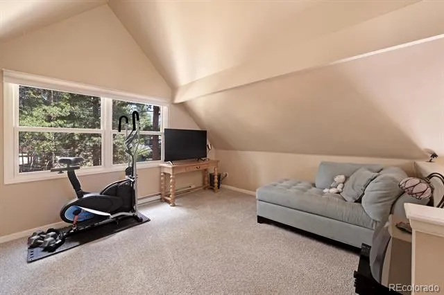1820 Prospector Drive Leadville, CO 80461