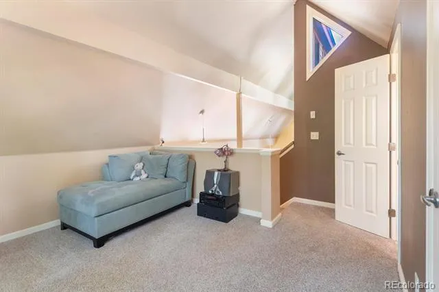 1820 Prospector Drive Leadville, CO 80461