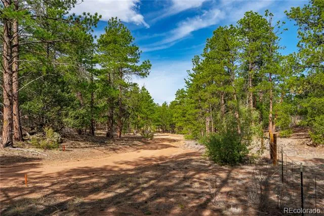 870 Oak Drive Westcliffe, CO 81252