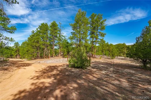 870 Oak Drive Westcliffe, CO 81252