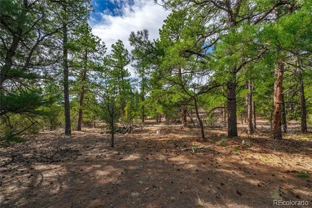 870 Oak Drive Westcliffe, CO 81252