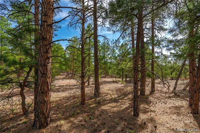 870 Oak Drive Westcliffe, CO 81252