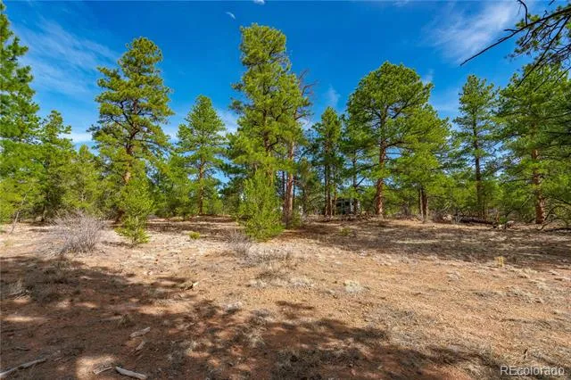 870 Oak Drive Westcliffe, CO 81252