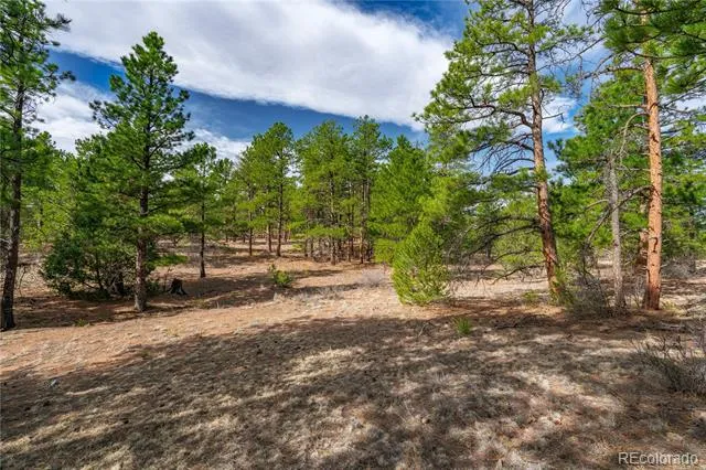 870 Oak Drive Westcliffe, CO 81252