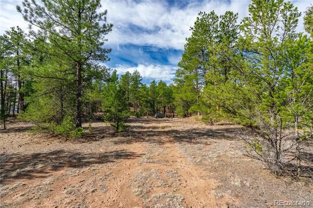 870 Oak Drive Westcliffe, CO 81252
