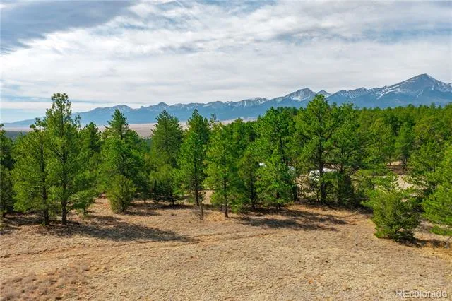 870 Oak Drive Westcliffe, CO 81252