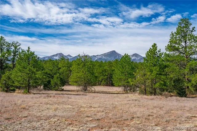 870 Oak Drive Westcliffe, CO 81252