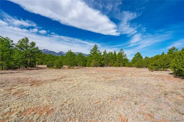 870 Oak Drive Westcliffe, CO 81252