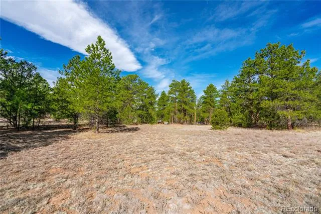 870 Oak Drive Westcliffe, CO 81252