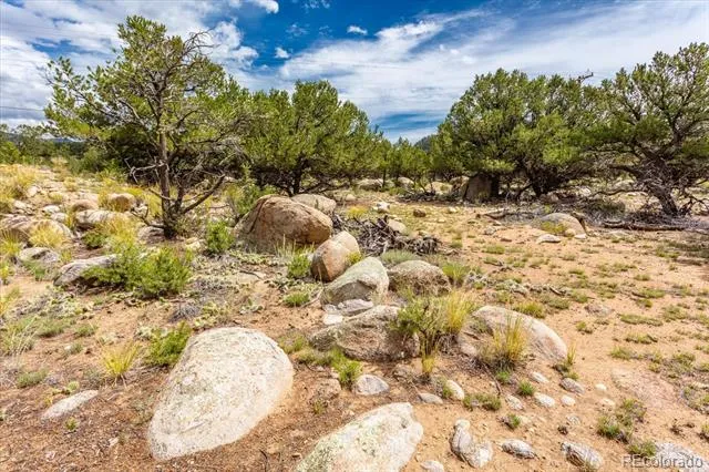 30224 US Highway 24 Buena Vista, CO 81211