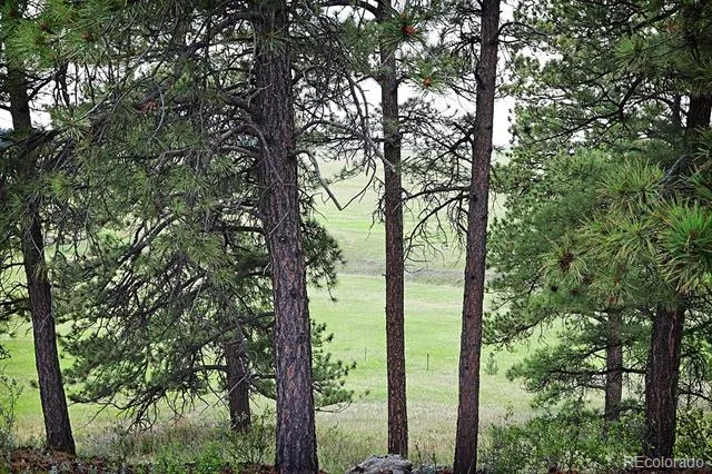 20525 Eagle Feather Lane Elbert, CO 80106