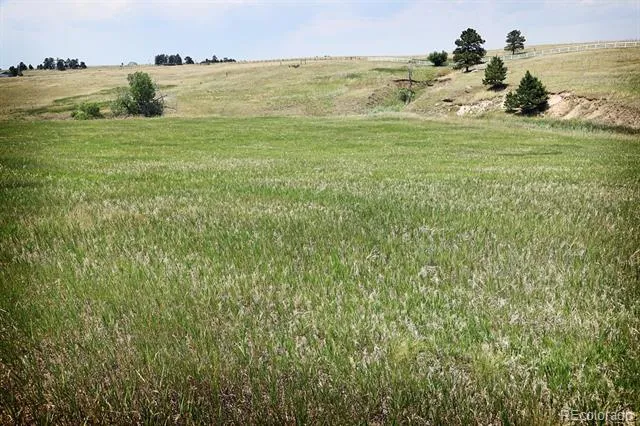 20525 Eagle Feather Lane Elbert, CO 80106