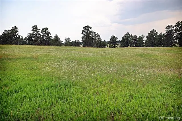 20525 Eagle Feather Lane Elbert, CO 80106