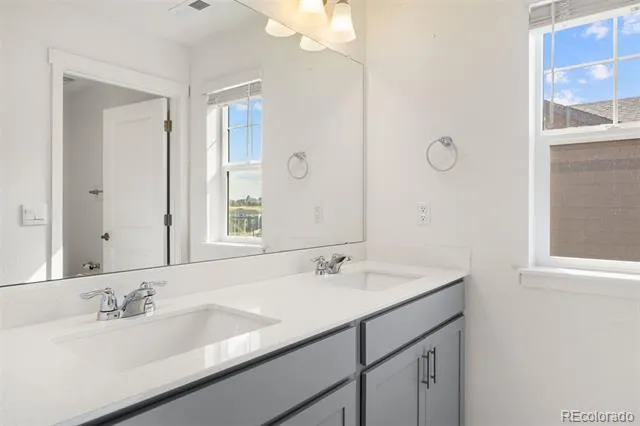 4875 Cattle Cross Trail Castle Rock, CO 80104