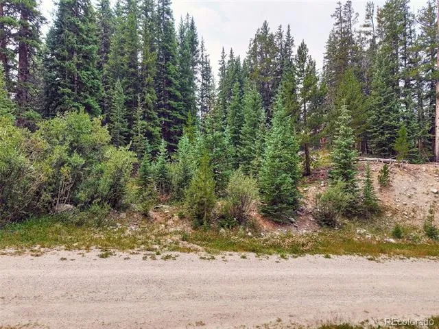 757 CR 674 Breckenridge, CO 80424